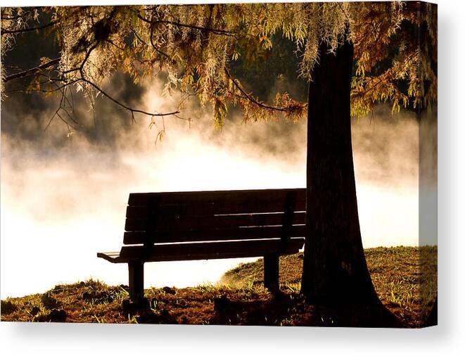 Alexander Springs Canvas Print featuring the photograph Morning Mist at the Spring #1 by Stefan Mazzola