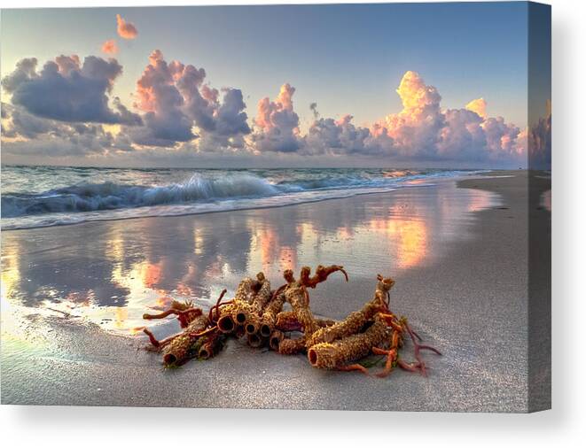 Blowing Canvas Print featuring the photograph Morning Surf by Debra and Dave Vanderlaan