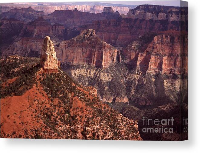 South-west Usa Canvas Print featuring the photograph Mt Hayden Grand Canyon #1 by Liz Leyden