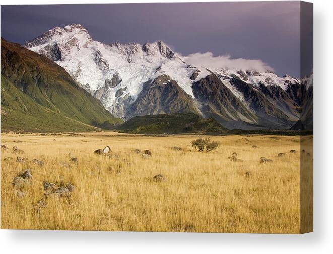 Scenics Canvas Print featuring the photograph Mt Sefton #1 by John Elk
