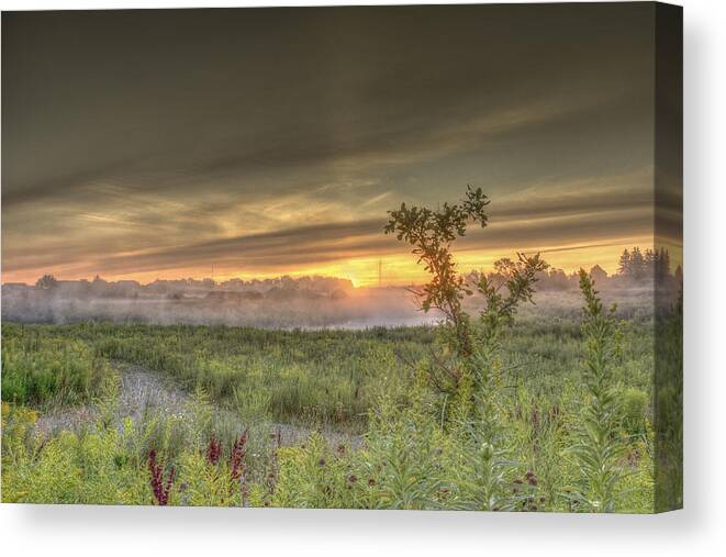 Back Roads Canvas Print featuring the photograph Nature in the morning #1 by Nick Mares