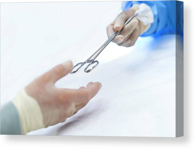 Indoors Canvas Print featuring the photograph Nurse Passing Surgical Scissors To Surgeon #1 by Science Photo Library