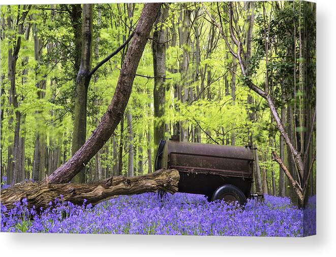 Landscape Canvas Print featuring the photograph Old farm machinery in vibrant bluebell Spring forest landscape #1 by Matthew Gibson