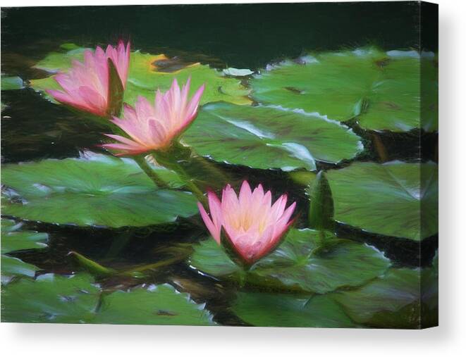 Flower Artwork Canvas Print featuring the photograph Painted Lilies by Mary Buck