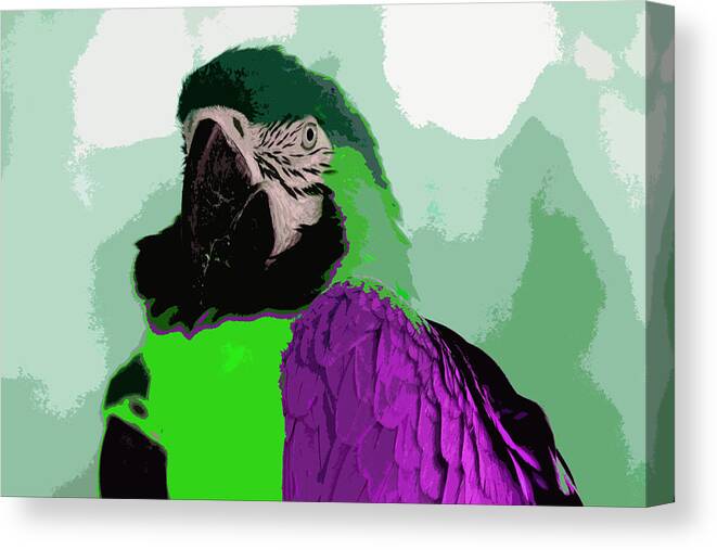 Bird Canvas Print featuring the photograph Parrot #1 by Carol McCarty