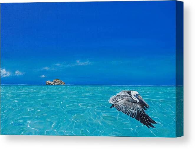 Taylor Bay Canvas Print featuring the painting Pelican in Flight #1 by Liz Zahara