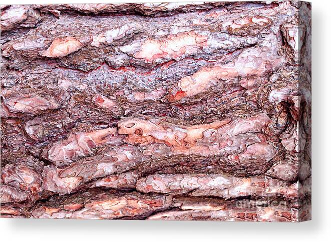 Pine Canvas Print featuring the photograph Pine Bark Texture #1 by Les Palenik