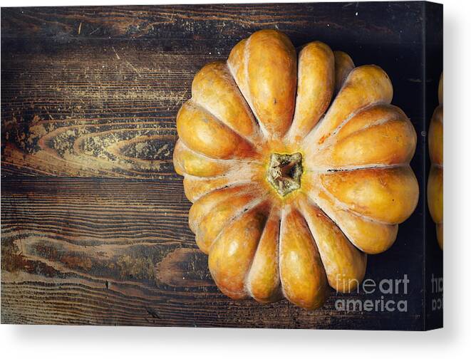 Pumpkin Canvas Print featuring the photograph Pumpkin #8 by Jelena Jovanovic