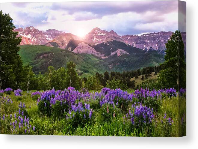 Purple Canvas Print featuring the photograph Purple Sunrise #1 by Rick Wicker