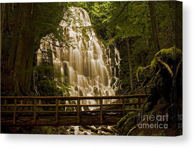 Pacific Canvas Print featuring the photograph Ramona Falls by Nick Boren