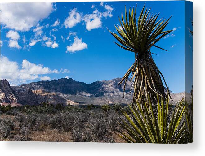 Las Vegas Canvas Print featuring the photograph Red Rock Canyon #1 by George Strohl