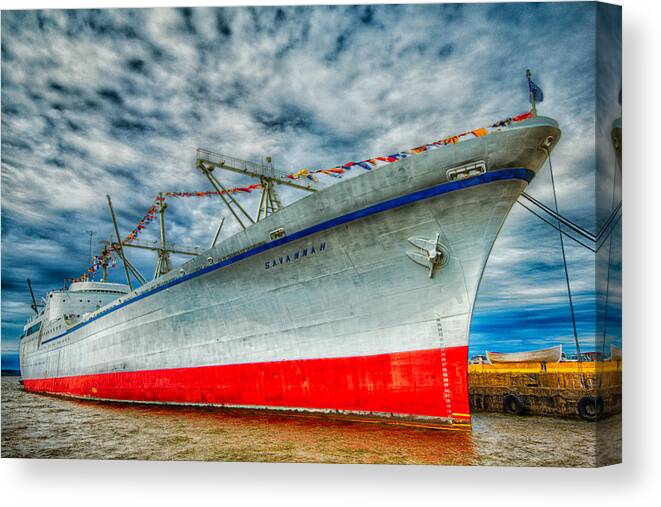 Anchors Canvas Print featuring the photograph Resting Savannah #1 by Dennis Dame