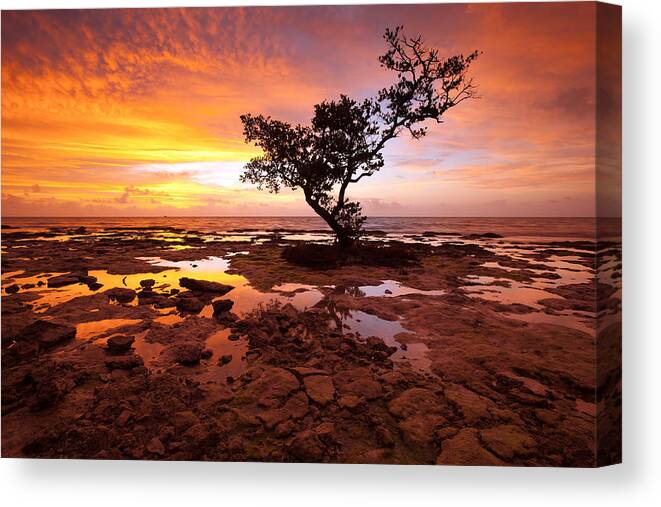Florida Canvas Print featuring the photograph Reverence by Patrick Downey