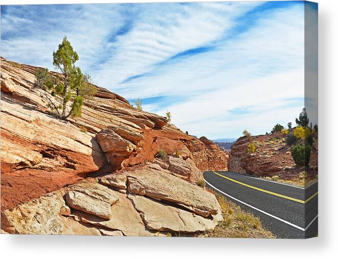  Canvas Print featuring the photograph Route 12 - Utah #1 by Dana Sohr