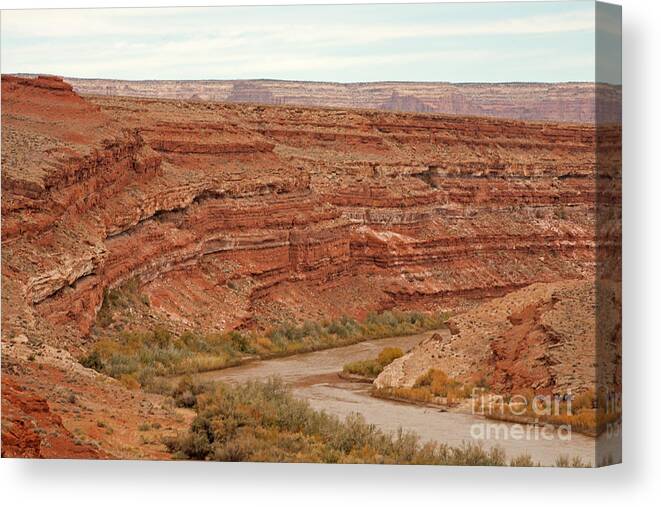 Autumn Canvas Print featuring the photograph San Juan River #1 by Fred Stearns