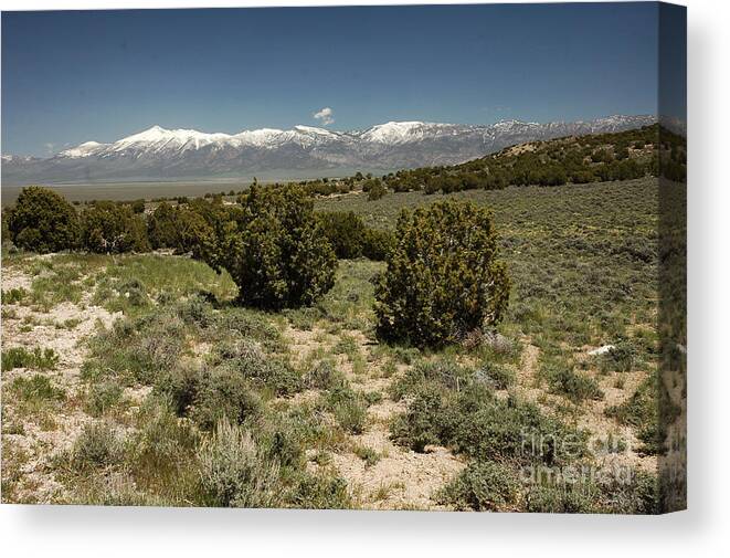 Schell Creek Range Canvas Print featuring the photograph 618P Schell Creek Range NV by NightVisions
