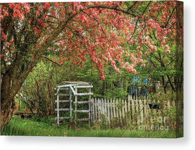 Garden Canvas Print featuring the photograph Secrets of the Heart #1 by Brenda Giasson