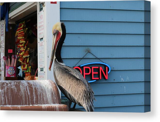 Brown Canvas Print featuring the photograph Snack Time #1 by Christy Pooschke