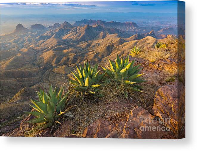 America Canvas Print featuring the photograph South Rim Morning #1 by Inge Johnsson