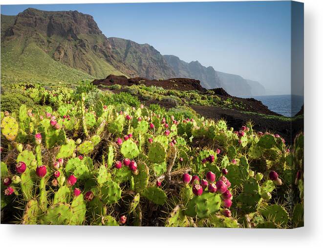 Tranquility Canvas Print featuring the photograph Spain, Canary Islands, Tenerife #1 by Walter Bibikow