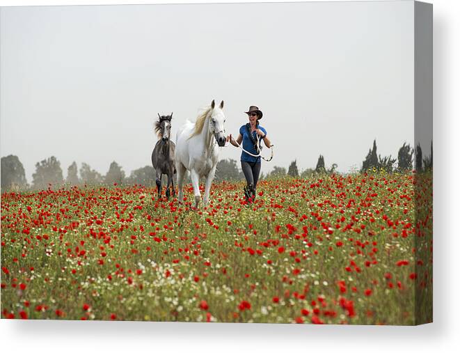 Poppies Canvas Print featuring the photograph Three at the poppies' field... 3 by Dubi Roman
