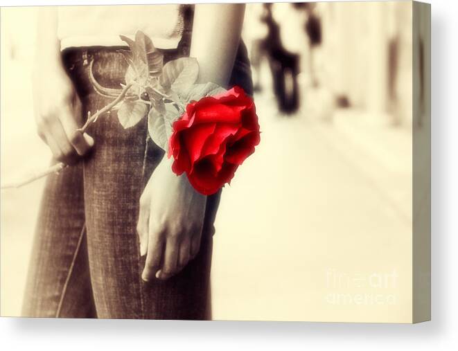 Woman Canvas Print featuring the photograph Timeless Rose #1 by Charline Xia