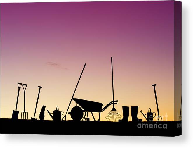 Rake Canvas Print featuring the photograph Tools of the Trade #2 by Tim Gainey