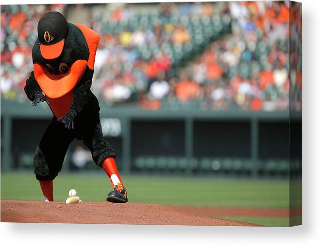 American League Baseball Canvas Print featuring the photograph Toronto Blue Jays V Baltimore Orioles #1 by Jonathan Ernst