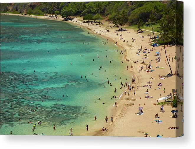Beach Canvas Print featuring the photograph USA, Hawaii, Oahu, Beach At Hanauma Bay #1 by David Wall