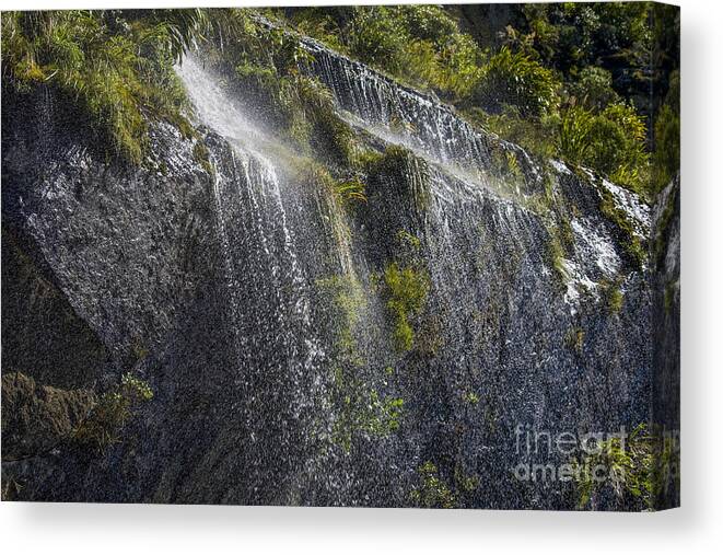 Beautiful Canvas Print featuring the photograph Waterfall Doubtful Sounds New Zealand by Patricia Hofmeester