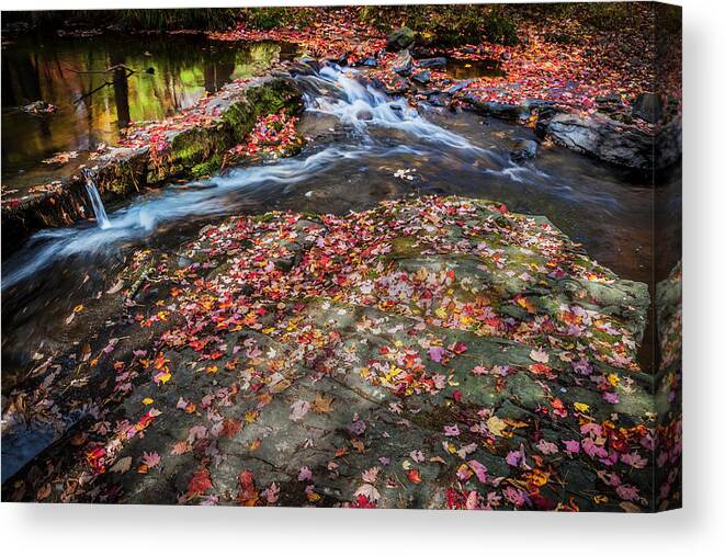 George W. Childs State Park Canvas Print featuring the photograph Waterfalls George W Childs National Park Painted #1 by Rich Franco