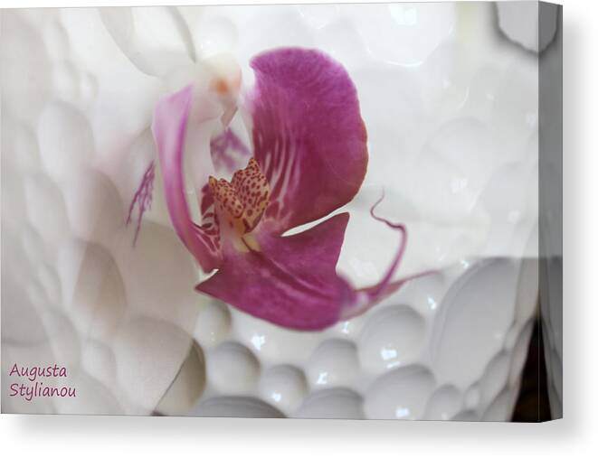 Augusta Stylianou Canvas Print featuring the digital art white Orchid #2 by Augusta Stylianou