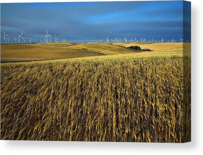 21st Century Canvas Print featuring the photograph Wind Farm #1 by Peter Menzel/science Photo Library