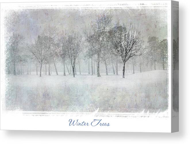 Snow Canvas Print featuring the photograph Winter Trees by Cathy Kovarik
