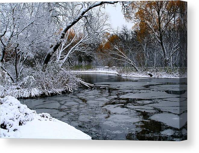 Winter Canvas Print featuring the photograph Winter Wonderland by Larry Trupp
