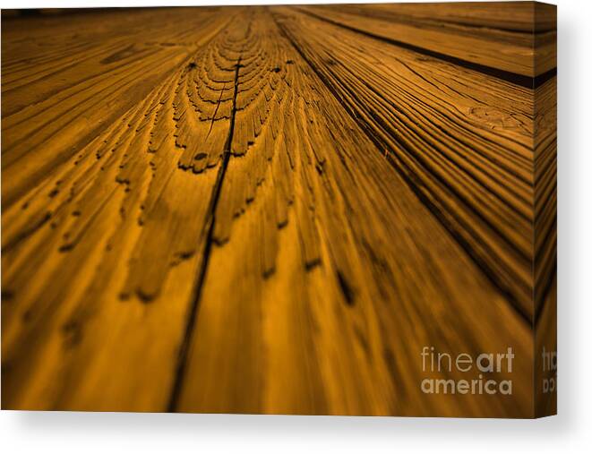 Wood Canvas Print featuring the photograph Wood #1 by Mina Isaac