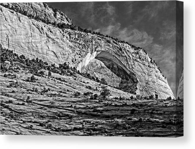 Zion Canvas Print featuring the photograph Zion National Park 2 by George Buxbaum