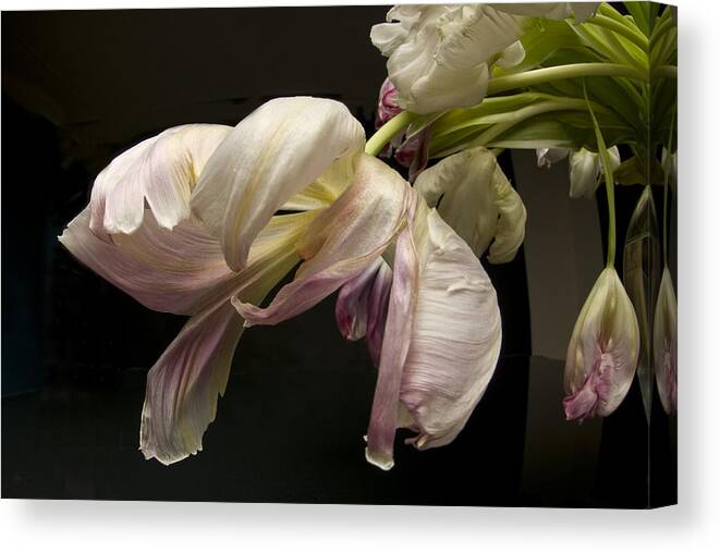 Flowers Canvas Print featuring the photograph The Last Dance #3 by Robert Dann