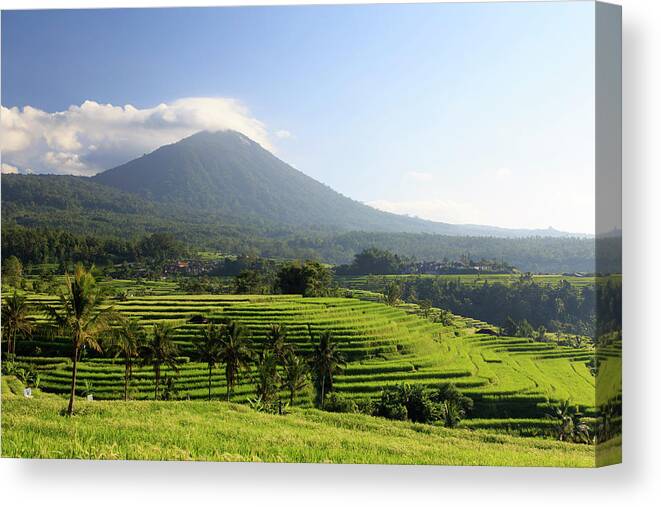 Tranquility Canvas Print featuring the photograph Indonesia, Bali, Rice Fields And #11 by Michele Falzone