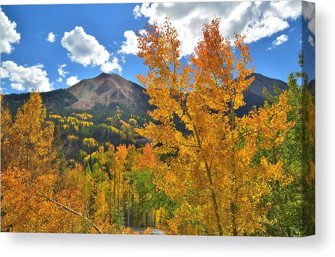 Colorado Canvas Print featuring the photograph Red Mountain Pass Fall Colors #29 by Ray Mathis