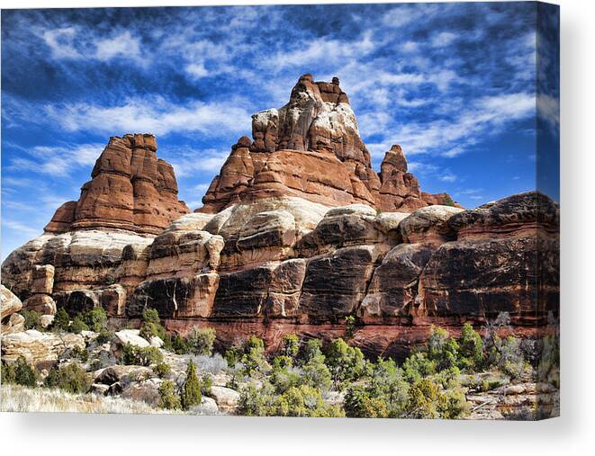 Canyonlands Canvas Print featuring the photograph Canyonlands National Park #130 by Mark Smith