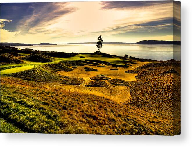 Chambers Bay Golf Course Canvas Print featuring the photograph #15 at Chambers Bay Golf Course #15 by David Patterson