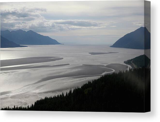 Cook Inlet Canvas Print featuring the photograph Feature - Bore Tide Surfing In Alaska #15 by Streeter Lecka