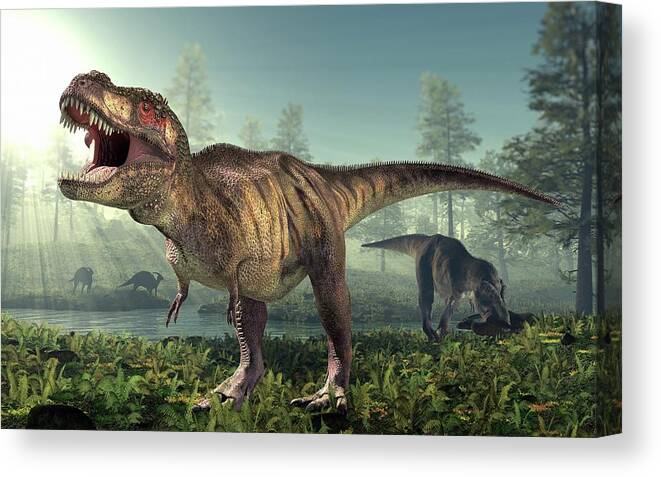 Aggression Canvas Print featuring the photograph Tyrannosaurus Rex Dinosaur #16 by Roger Harris