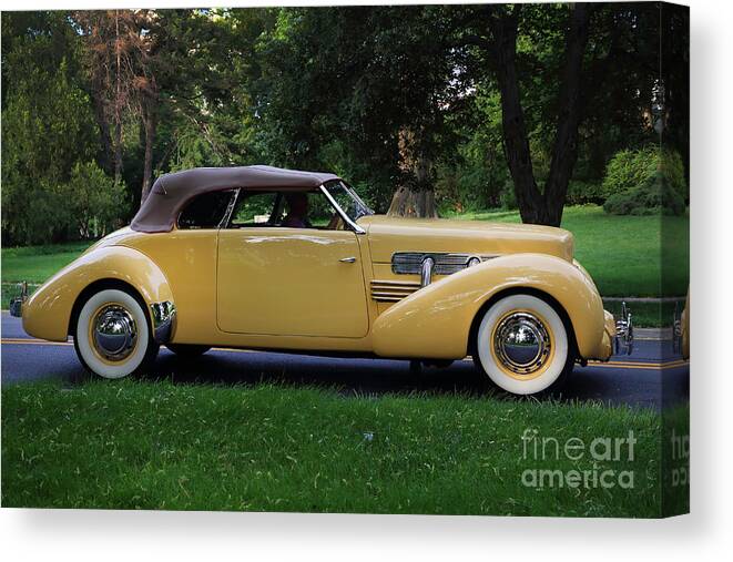 1937 Cord Canvas Print featuring the photograph 1937 Cord convertible by Dennis Hedberg
