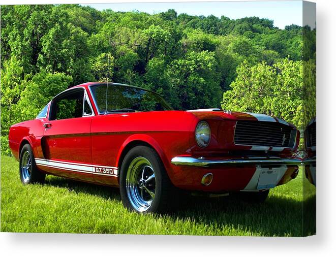 1966 Canvas Print featuring the photograph 1966 Mustang GT350 by Tim McCullough