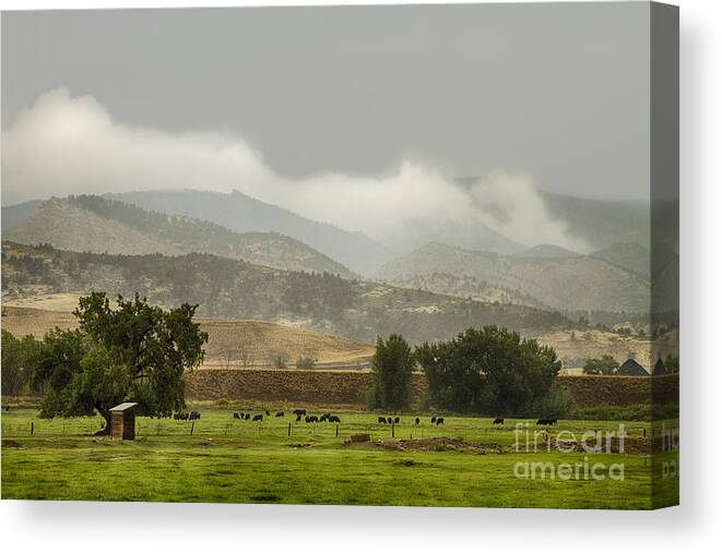 Rain Canvas Print featuring the photograph 1st Day of Rain Great Colorado Flood by James BO Insogna
