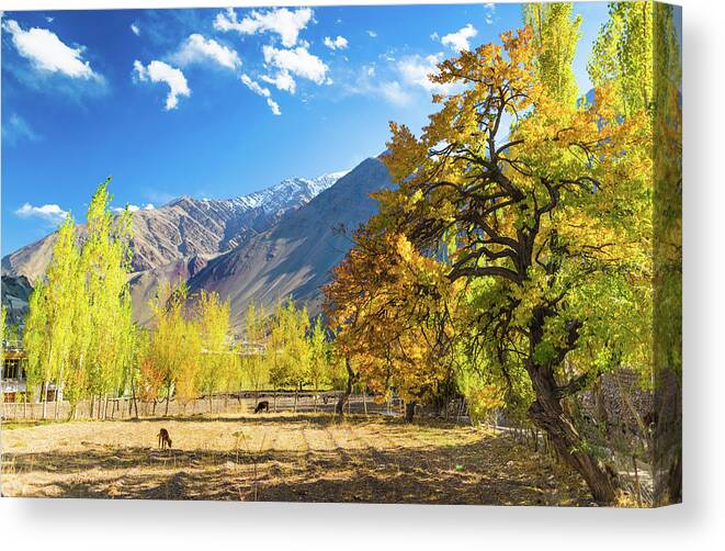 Hinduism Canvas Print featuring the photograph Beautiful Landscape In Norther Part Of #2 by Primeimages
