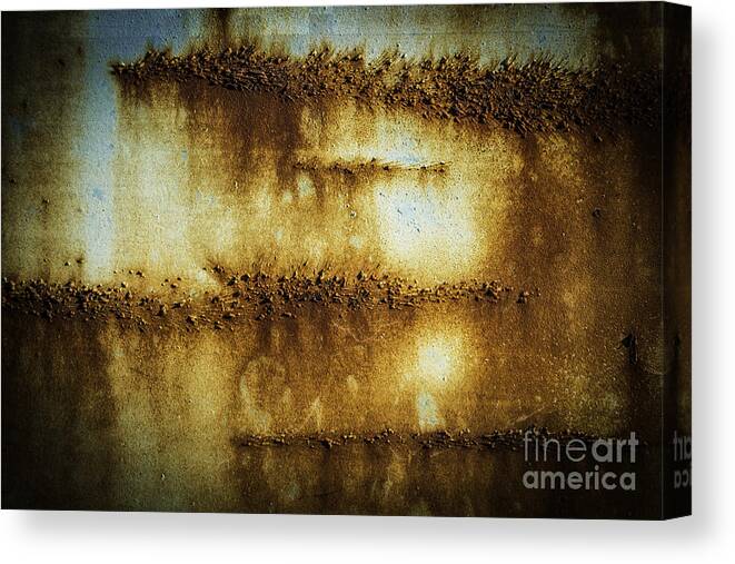 Blue On Rust Canvas Print featuring the photograph Blue #2 by David Waldrop