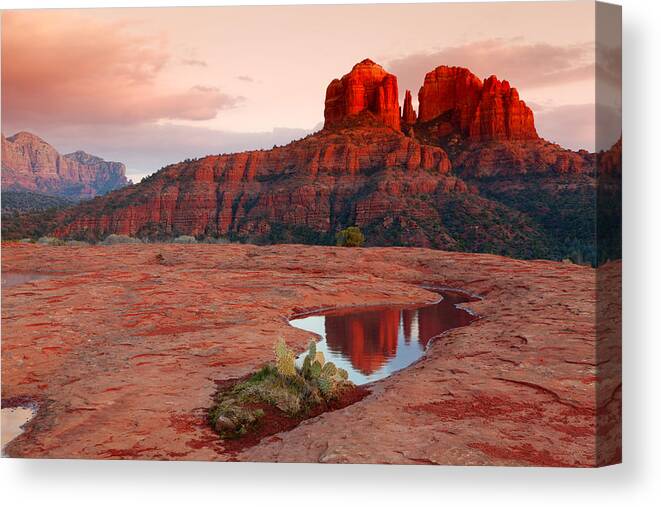 Rock Canvas Print featuring the photograph Cathedral Rock Reflection #3 by Alexey Stiop